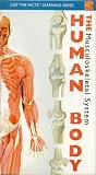 Just the Facts: Human Body - Musculoskeletal