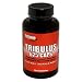 Optimum Nutrition Tribulus 625 Caps, Capsules, 100-Count Bottles  (Pack of 2)