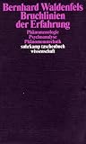 Bruchlinien der Erfahrung: Phänomenologie - Psychoanalyse- Phänomenotechnik