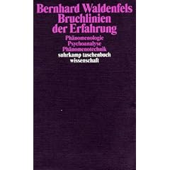 Bruchlinien der Erfahrung: Ph�nomenologie - Psychoanalyse - Ph�nomenotechnik (suhrkamp taschenbuch wissenschaft)