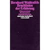Bruchlinien der Erfahrung: Ph�nomenologie - Psychoanalyse - Ph�nomenotechnik (suhrkamp taschenbuch wissenschaft)