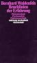 Bruchlinien der Erfahrung: Ph�nomenologie - Psychoanalyse - Ph�nomenotechnik (suhrkamp taschenbuch wissenschaft)
