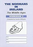 The Middle Ages. Workbook 3, Normans in Ireland