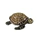 Sea Turtle Trinket Box - Bejeweled - Brown