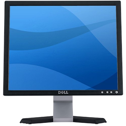 DELL E176FP 17-inch Flat Panel Color LCD Monitor