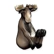 Moose Decorative Coat Hook