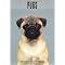 Books for Pug Fanciers