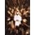 Gandhi [DVD]