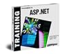 Programming in ASP.NET