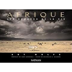 Afrique les sources de la vie