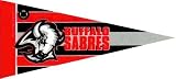 NHL Mini Buffalo Sabres Pennant, (2-Pack)