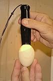 CoolLite Egg
