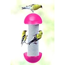 Akerue 6111 H F Cherry Valley Have A Ball Feeder 11 2 Ounce