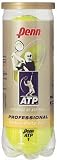 Penn ATP Extra Duty Tennis Balls (Case)