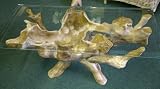 Teak Root Rectangular Coffee Table