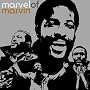 Marvel of Marvin