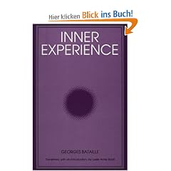 Inner Experience (Suny Series Intersections: Philosophy and Critical Theory)