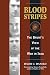 Blood Stripes: The Grunt's View of the War in Iraq