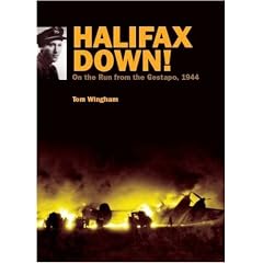 Halifax Down!: On the Run from the Gestapo, 1944