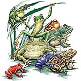 Frog Calls Adult T-Shirt