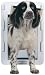 Petsafe S2-MW-11 Easy Fit Pet Door-Medium White