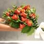 One Dozen Long Stemmed Premium Terracota Roses