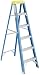 Tools & Hardware : Werner 6005 5-Foot 250-Pound Duty Rating Fiberglass Stepladder