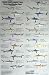 Shark Identification Poster