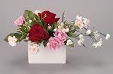 ���G�}�A�[�g�t�����[�@�`�Q�O�O�X�|�T�O�@
