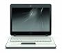 HP Pavilion DV2-1110US 12.1-Inch Entertainment Laptop