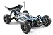 FTX Vantage 1/10 4WD Brushless Buggy RTR