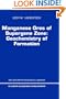Manganese Ores of Supergene Zone: Geochemistry of Formation (Solid Earth Sciences Library)