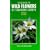 Field Guide to Wild Flowers of Southern Europe
