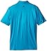 adidas Golf Men's Puremotion Climacool Gradient Stripe Polo