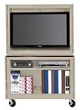 Sandusky IAPF462466-04 46-Inch Wide by 24-Inch Deep by 66-Inch High Plasma/LCD TV/Monitor Enclosure Cabinet, Sand