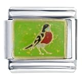 Animal Bird Singing Italian Charms Bracelet Link