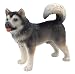 Bullyland Dogs: Alaskan Malamute