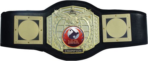 Click here to buy MMA Platinum Title Belt by Title Boxing.
