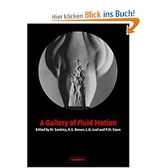 A Gallery of Fluid Motion