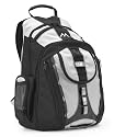 Brenthaven Expandable Trek Backpack for Notebooks up to 15.4"