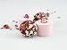 Cocoa Butter Bath Bombs: Romantic Rose Selection