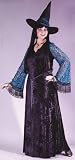 Gothic Lace Witch Plus Size