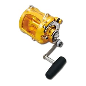 Penn Gold Label Series V Two Speed Reel (600-Yard, 80-Pound)