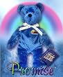 Promise the Noah Holy Bear
