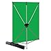 Westcott 579K X-Drop Kit with 5 x 7 Feet Green Screen Backdrop (Green/Silver)