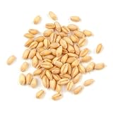 Wheat Berries, Soft White* - 25 Lb Bag Each