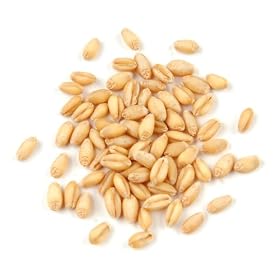 Wheat Berries, Soft White* - 1.75 Lb Jar Each