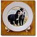 Dogs Bernese Mountain Dog - Bernese Mountain Dog - Plates