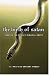 The Birth of Satan: Tracing the Devil's Biblical Roots