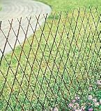 Willow Fence